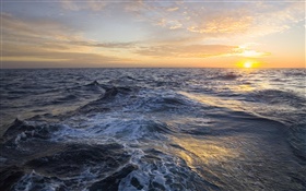 Golden sunrise, clouds, sea, Atlantic Ocean, Falkland Islands HD wallpaper