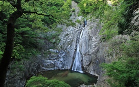 Great nature, waterfalls, cliff, lake, trees, Hokkaido, Japan