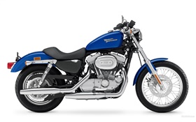 Harley-Davidson 883 motorcycle, blue and black HD wallpaper