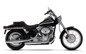 Harley-Davidson motorcycle, SOFTAIL HD wallpaper