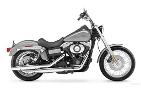 Harley-Davidson motorcycle, black and gray HD wallpaper