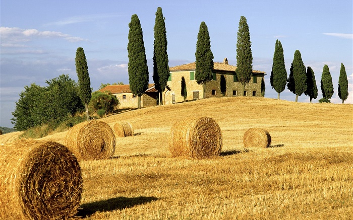Haystacks, fields, houses, trees, Italy Wallpapers Pictures Photos Images