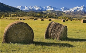 Haystacks, fields, mountains, sunshine HD wallpaper