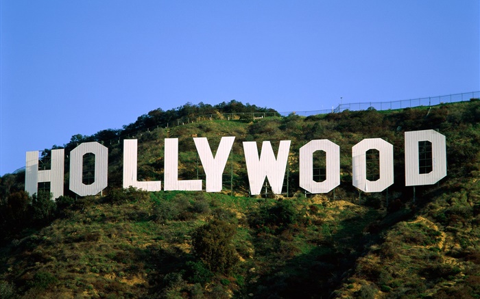 Hollywood logo in the slope Wallpapers Pictures Photos Images