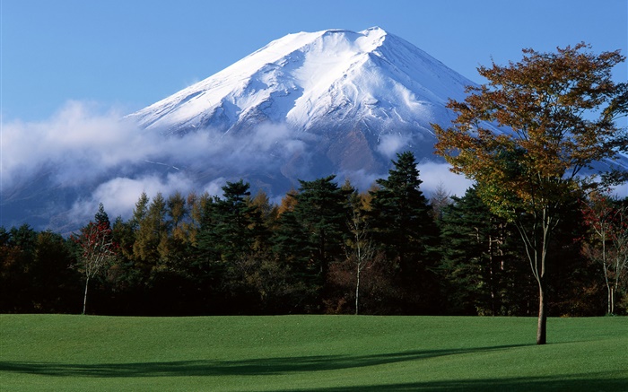 Japan's Mount Fuji, snow, trees, grass, fog Wallpapers Pictures Photos Images