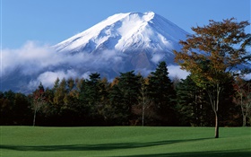 Japan's Mount Fuji, snow, trees, grass, fog HD wallpaper