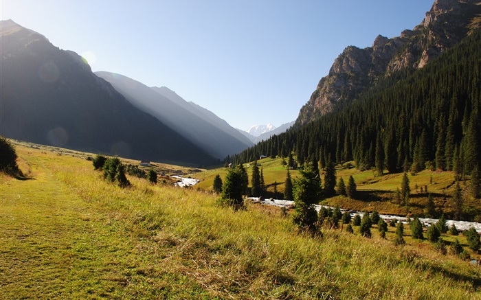 Kyrgyzstan, forest, trees, mountains, morning, grass, river Wallpapers Pictures Photos Images