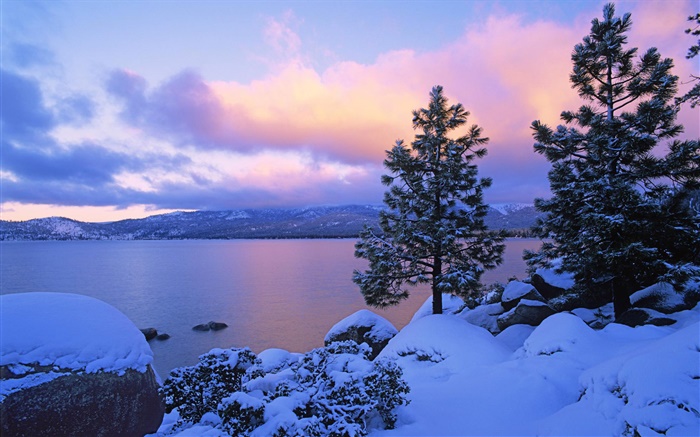 Lake Tahoe, winter, snow, trees, dusk, USA Wallpapers Pictures Photos Images
