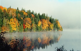 Lake, trees, fog, morning, autumn
