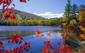Lake, trees, house, autumn HD wallpaper