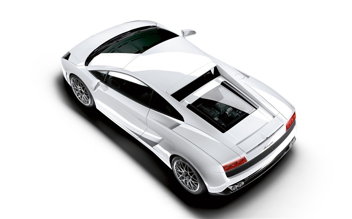 Lamborghini white car top view Wallpapers Pictures Photos Images