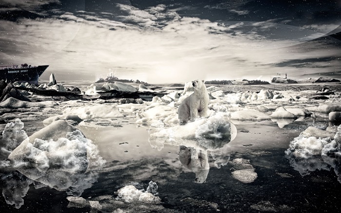 Lonely bear, snow, sea, creative pictures Wallpapers Pictures Photos Images