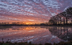 Louisiana USA, river, shore, water reflection, trees, clouds, sunset