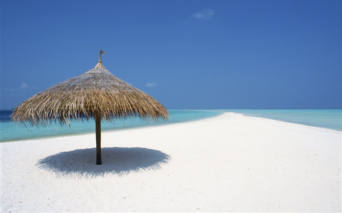 Maldives, beach, sea, awning Wallpapers Pictures Photos Images
