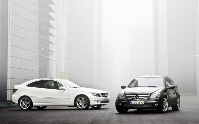 Mercedes-Benz white and black cars Wallpapers Pictures Photos Images