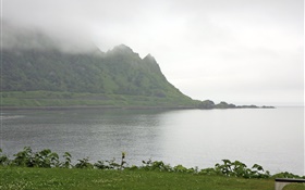 Morning, fog, mountains, sea, coast, grass, Hokkaido, Japan HD wallpaper