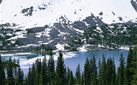 Mountain, snow, river, trees HD wallpaper