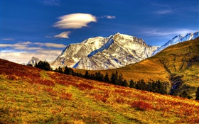 Mountains, grass, trees, autumn, blue sky HD wallpaper