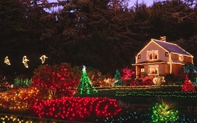 Night, colorful lights, house, Christmas HD wallpaper