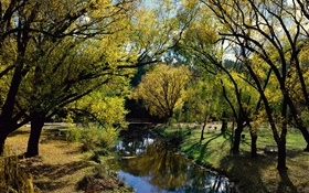 Park, river, trees, Australia HD wallpaper