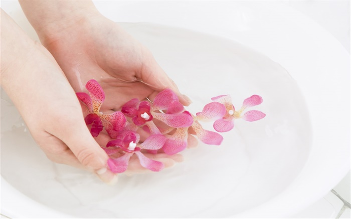 Pink orchid flower petals, water, hands Wallpapers Pictures Photos Images