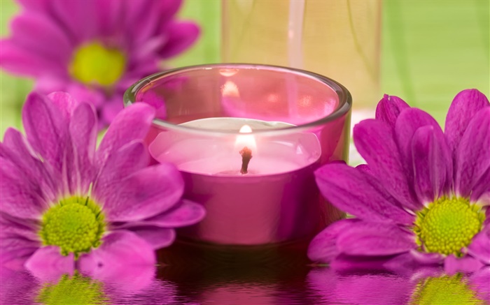 Purple chrysanthemum flowers, candle, fire, SPA theme Wallpapers Pictures Photos Images