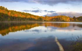 Quiet lake, trees, fog, morning, autumn HD wallpaper