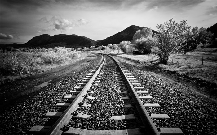 Railway, trees, mountains, black white style Wallpapers Pictures Photos Images