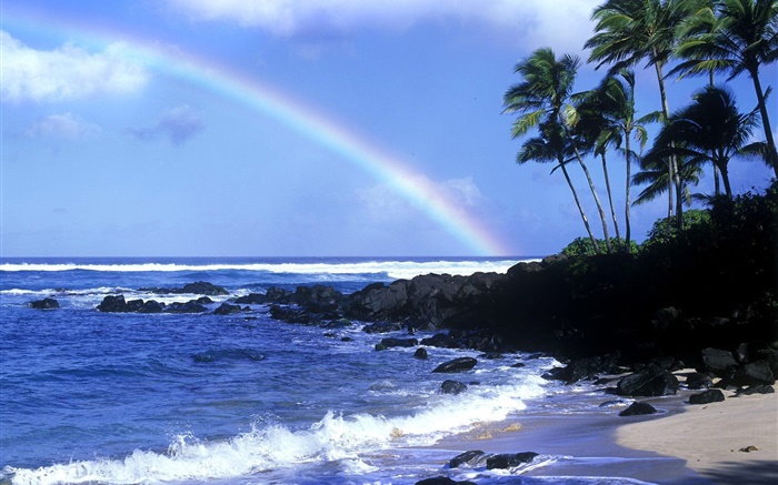 Rainbow, blue sea, coast, palm trees, Hawaii, USA Wallpapers Pictures Photos Images
