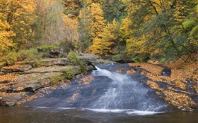 River, trees, autumn HD wallpaper