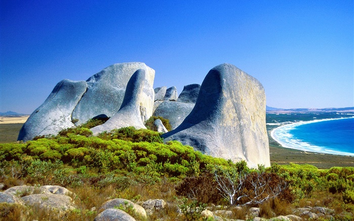 Rocks, grass, coast, blue sea, Australia Wallpapers Pictures Photos Images