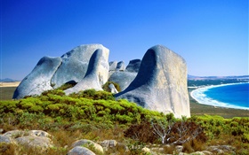 Rocks, grass, coast, blue sea, Australia HD wallpaper