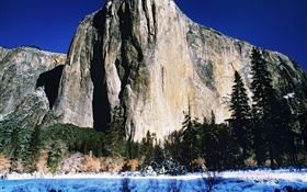 Rocks mountains, trees, winter, snow HD wallpaper