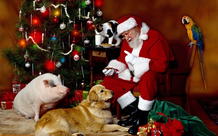 Santa Claus and Animals, Christmas lights Wallpapers Pictures Photos Images