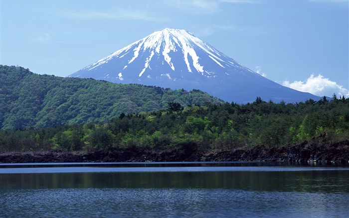 Sea, forest, Mount Fuji, Japan Wallpapers Pictures Photos Images