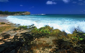 Sea waves, coast, dusk, Hawaii, USA HD wallpaper