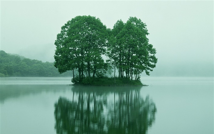 Small island in the lake center, trees, Tokyo, Japan Wallpapers Pictures Photos Images