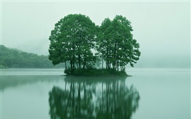 Small island in the lake center, trees, Tokyo, Japan HD wallpaper