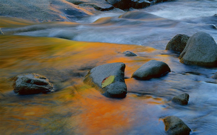 Stones, creek, water Wallpapers Pictures Photos Images