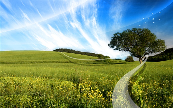 Summer, grass, tree, wildflowers, curve light, creative design Wallpapers Pictures Photos Images