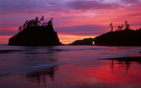 Sunset, evening, sea, red sky, beach, island HD wallpaper