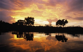 Sunset over forest, lake, Guyana HD wallpaper
