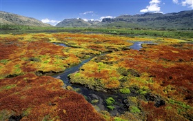 Swamp, mountains, grass, nature scenery