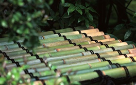 Tokyo, Japan, bamboo raft HD wallpaper