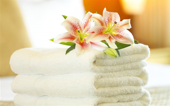 Towels, orchid, still life close-up Wallpapers Pictures Photos Images