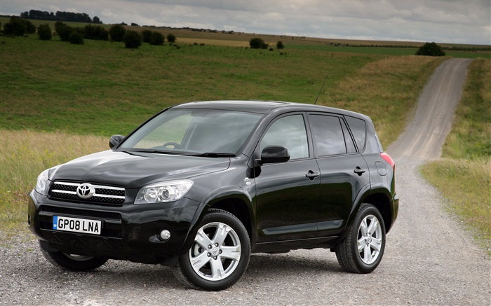 Toyota RAV4 D-CAT black SUV car Wallpapers Pictures Photos Images