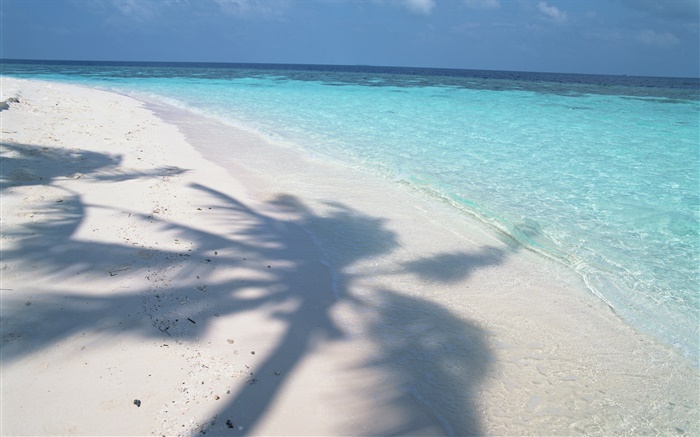 Tree shadow, Maldives, beach, sea, waves Wallpapers Pictures Photos Images
