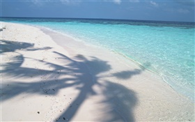 Tree shadow, Maldives, beach, sea, waves HD wallpaper