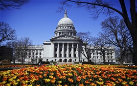 Washington, Madison, USA, building, park, flowers HD wallpaper
