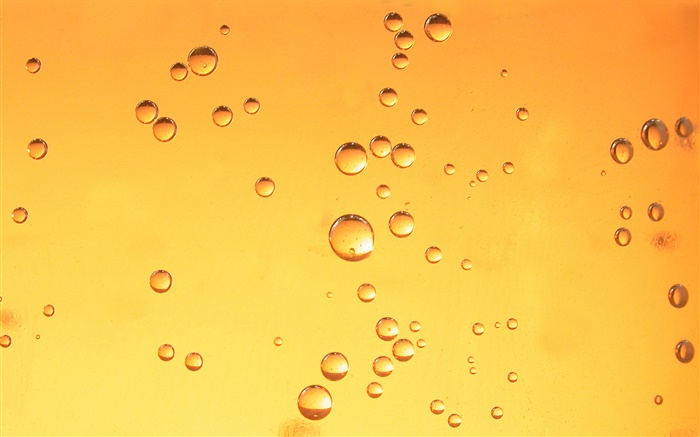 Water drops, orange background Wallpapers Pictures Photos Images